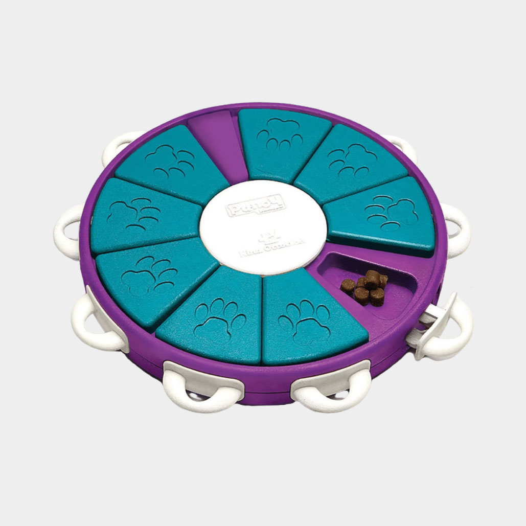 Treats Dispenser Puzzle Toy